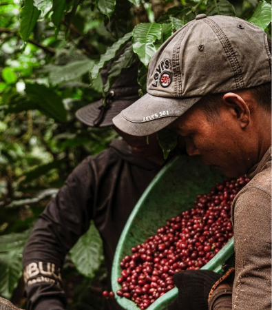 Building sustainable partnerships with Indonesian farmers